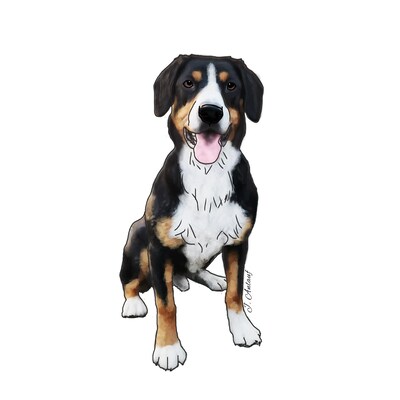 Entlebucher Mountain Dog (Design 2) - Printed Transfer Sheets for a variety of surfaces - image1